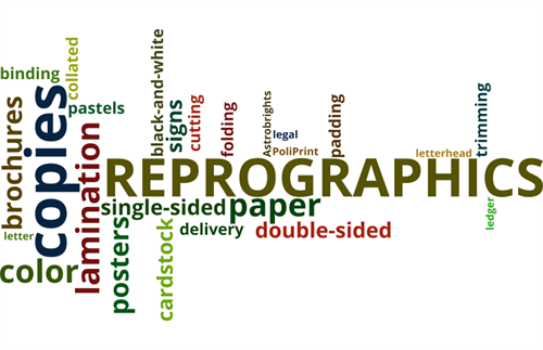 ReproWordle